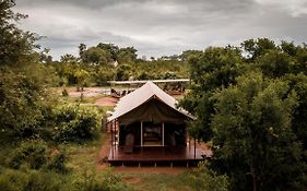 Honeyguide Tented Safari Camp - Khoka Moya